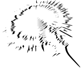 How Can Qsonics Help You? Contact Button